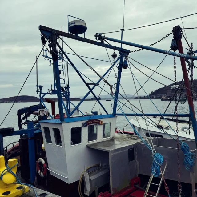 Seafood bonanzas, straight off the fishing boat in Oban, Scotland… as fresh as you can get yummmmmy🦞 🦀 🦪 🏴󠁧󠁢󠁳󠁣󠁴󠁿 
#scottish #foodietravel #yummy #seafood #langoustine  #gastrotravel #scotland #foodholiday #travel