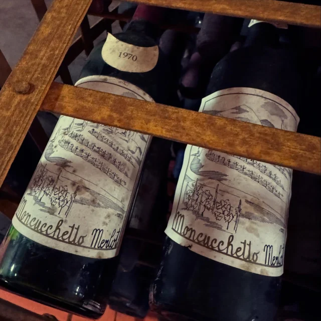 What a fabulous experience visiting the @moncucchetto cantina and restaurant in @lugano.region. Award winning wine, a sumptuous menu serving high quality local products in the restaurant with stunning views over the vines and lake, and what a wonderful family oriented story behind the business too. Come and visit them with us, learn about merlot’s affinity with Lugano and maybe you’ll even get to meet the owner Nicolo 🍷🍾🍇 #lugano #swisswine #vinosvizzero #ticino #vinoticinese #switzerland #merlot #merlotticino #lagolugano